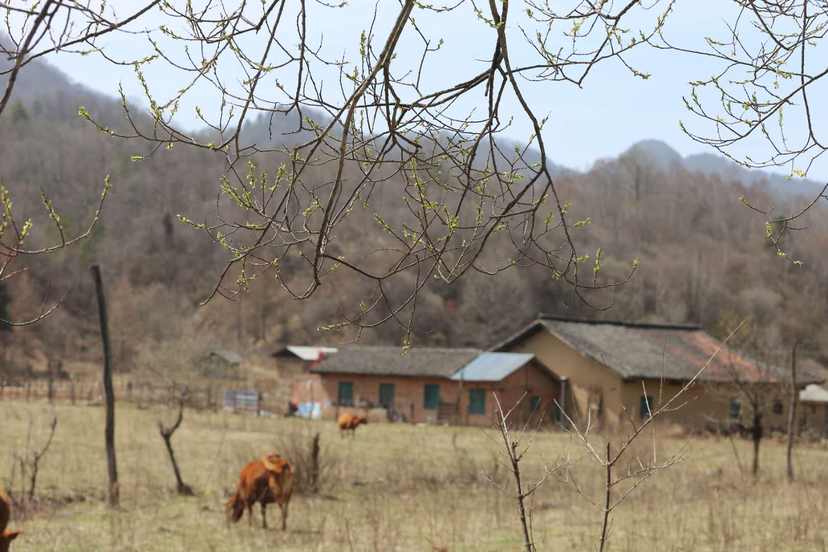 团建，春到老县城。(图13)